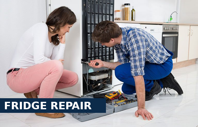 Fridge Repair Falconwood